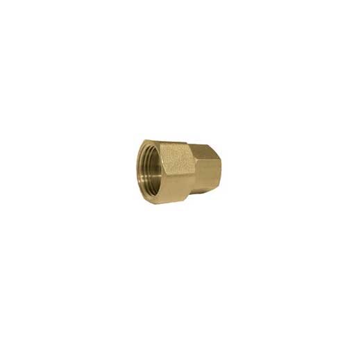 24.0055 Brass Garden Hose Inlet 3/4" FGH X 1/2" Female NPT - Image 1
